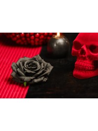 4 TETES DE ROSE NOIRES DIA 9.5CM X 5.5CM