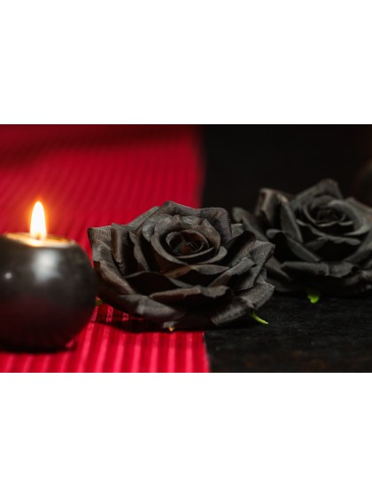 4 TETES DE ROSE NOIRES DIA 9.5CM X 5.5CM