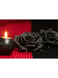 4 BLACK ROSE HEADS DIA 9.5CM X 5.5CM