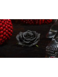 4 ROSENKOPF SCHWARZ DIA 9.5CM X 5.5CM