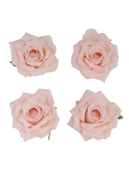 4 TETES DE ROSE PECHE DIA 9.5CM X 5.5CM