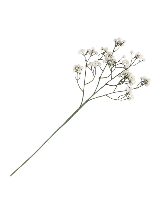 CREAM GYPSOPHILA STEM ENV 15CM X 10CM X 60CM
