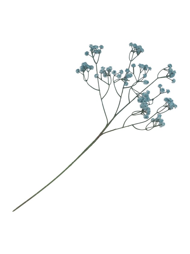 TIGE GYPSOPHILE BLEU ENV 15CM X 10CM X 60CM