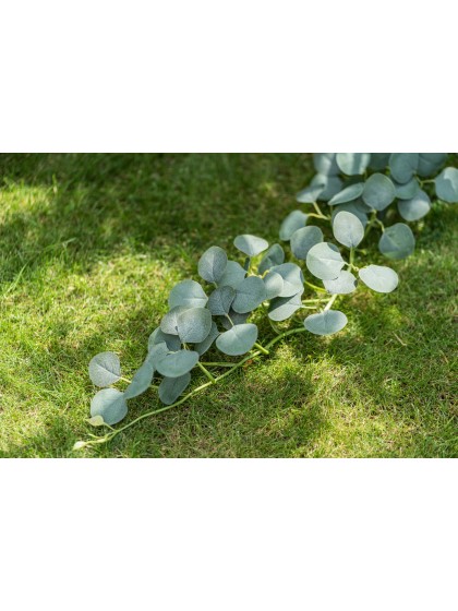 HENGELNDE EUKALYPTUS 173CM