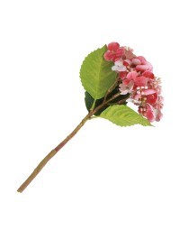 STIEL HORTENSIE BOURGEONS ROSA 35CM