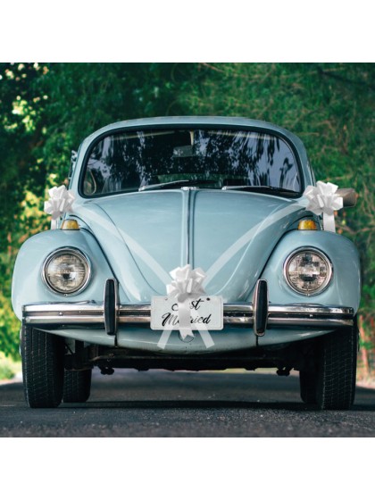 WHITE CAR KIT 5 PIECES 
