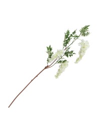 AST GLYZINIE 3 FLORAISONS WEISS 30CM X 10CM X 110CM