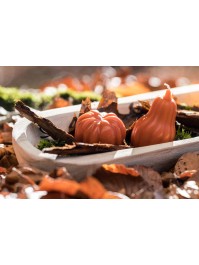 KERZE KÜRBIS HERBST 2 ASSORTIS DIA 6.8CM X 4.6CM