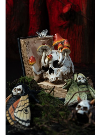 BUCH AUS SORTILEGES TOTENKOPF UND PILZE 17CM X 17CM X 19CM