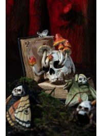 LIVRE DE SORTILEGES TETE DE MORT ET CHAMPIGNONS 17CM X 17CM X 19CM