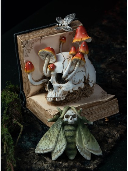 BUCH AUS SORTILEGES TOTENKOPF UND PILZE 17CM X 17CM X 19CM