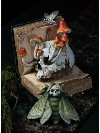 LIVRE DE SORTILEGES TETE DE MORT ET CHAMPIGNONS 17CM X 17CM X 19CM