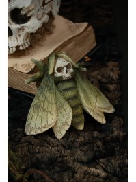 SKULL BUTTERFLY - 3 ASSORTED APPROX. 14CM X 12CM X 5CM