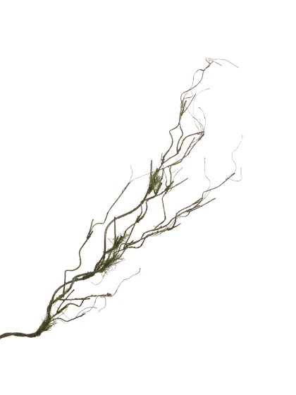 BRANCH WITH MOSS 112CM