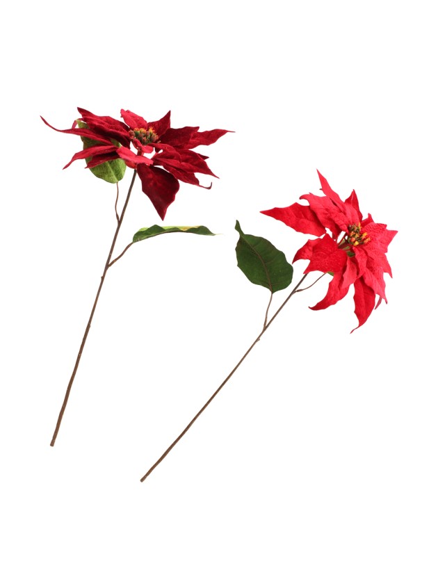 TIGE POINSETTIA VELOURS ROUGE/BORDEAUX 2 ASS DIA 24CM X 53CM