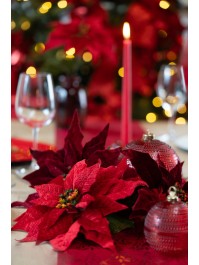 TIGE POINSETTIA VELOURS ROUGE/BORDEAUX 2 ASS DIA 24CM X 53CM