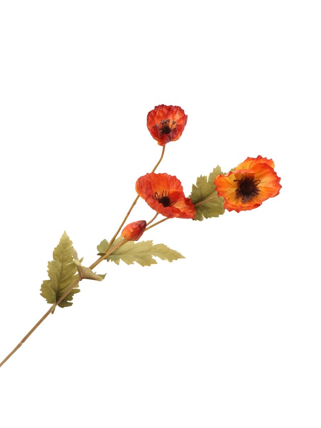 ORANGE POPPY STEM 10CM X 10CM X 60CM