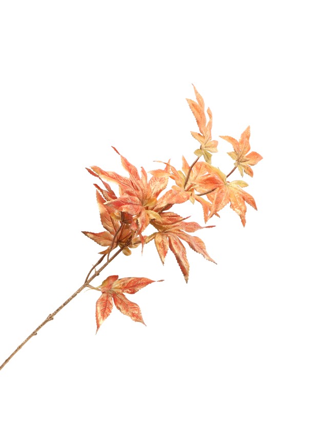 TIGE FEUILLES ERABLE ORANGE DORE 21CM X 14CM X 63CM