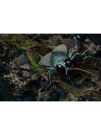 MOUCHE PLASTIQUE VERT IRISE 13CM X 11CM X 3.8CM