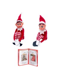 SCHELMENWICHTEL MÄDCHEN ELVIE/GARCON ELFIE + LIVRET 24 FARCES 2 SORT. 10CM X 5CM X 38CM