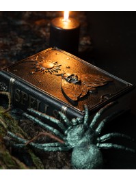 LIVRE DE SORTILEGES PAPILLON TETE DE MORT 15CM X 6CM X 20CM