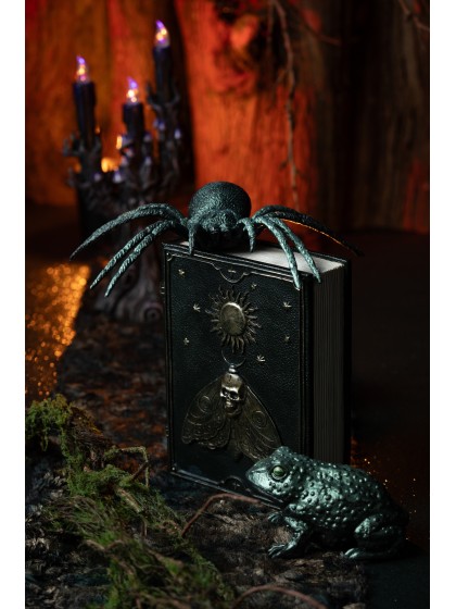 LIVRE DE SORTILEGES PAPILLON TETE DE MORT 15CM X 6CM X 20CM