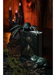 LIVRE DE SORTILEGES PAPILLON TETE DE MORT 15CM X 6CM X 20CM