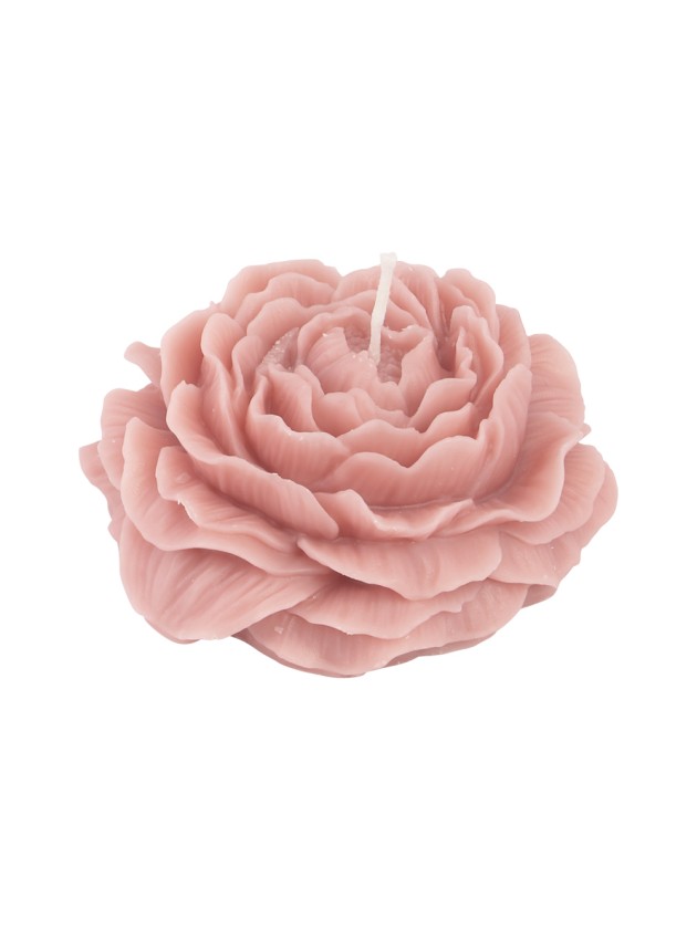 NYMPHEA PINK CAMELLIA CANDLE DIA 10.3CM X 4.2CM
