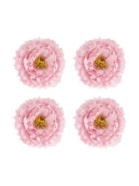 4 TETES PFINGSTROSE ROSA SEEROSE DIA 9CM X 4CM