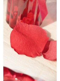 BEUTEL 250 ROSA BLÜTEN 3D ROT CA. 4CM X 4CM