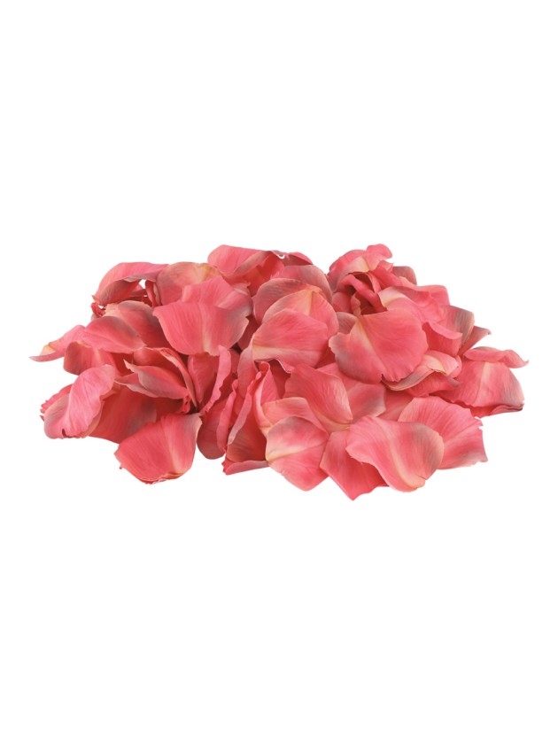 BAG OF 250 3D RASPBERRY ROSE PETALS AROUND 4CM X 4CM