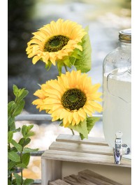 AST 3 SONNENBLUMEN 32CM X 12CM X 94CM