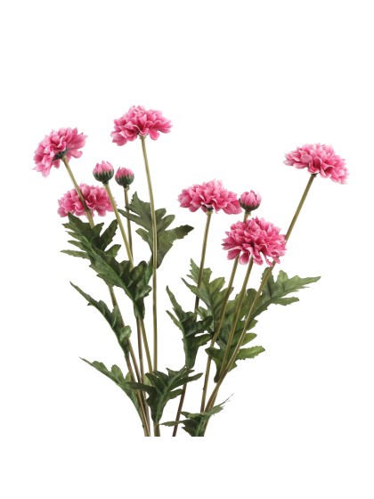 BLUMENSTRAUSS 3 STIELE TAGETES HIMBEERE 12CM X 8CM X 59CM