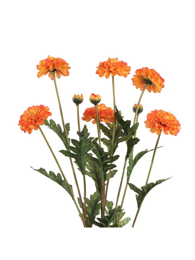 BOUQUET 3 TIGES TAGETES ORANGES 12CM X 8CM X 59CM
