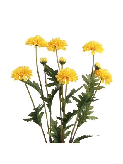 BUNCH 3 YELLOW TAGETE STEMS 12CM X 8CM X 59CM