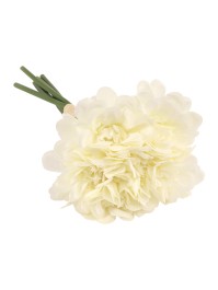 BLUMENSTRAUSS 6 KAMELIE WEISS DIA 11CM X 23CM