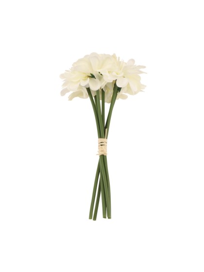 BLUMENSTRAUSS 6 KAMELIE WEISS DIA 11CM X 23CM