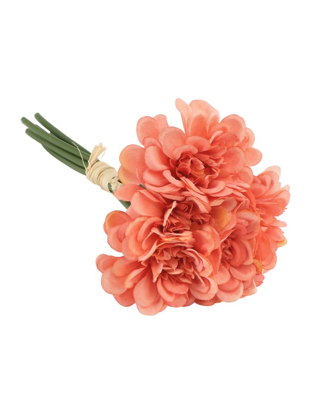 BUNCH OF 6 CORAL CAMELIA DIA 11CM X 23CM