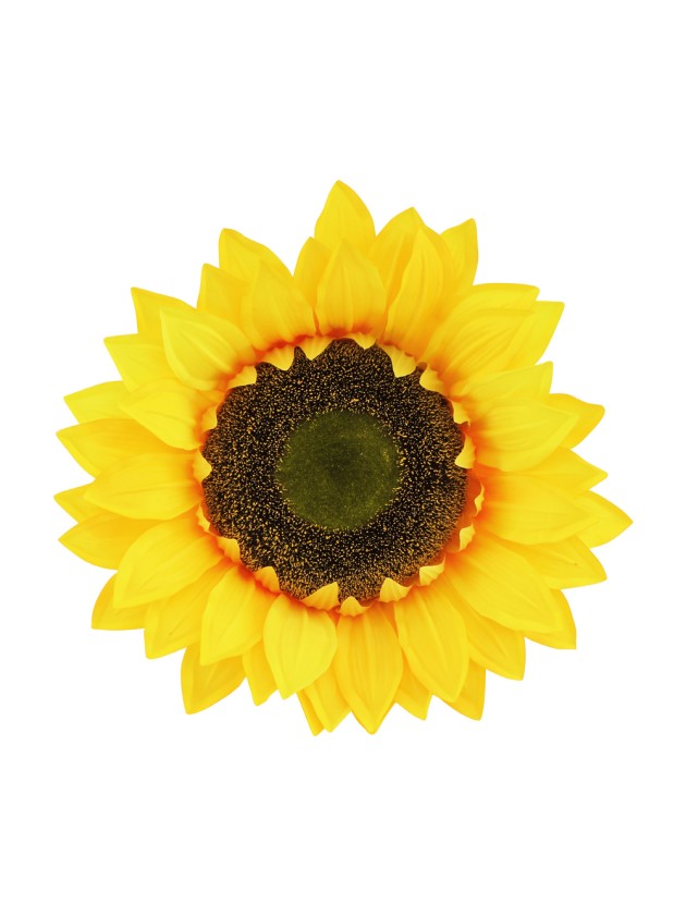 TETE DE TOURNESOL 30CM X 25CM X 15CM