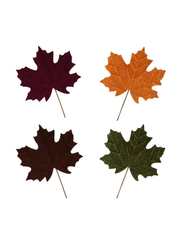 BLATT D\'ERABLE SAMT 4 SORT. 23CM X 29CM X 0.4CM