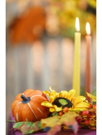 HARVEST PICK SUNFLOWERS AND PUMPKINS 25CM X 12CM X 60CM
