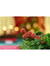 RED BERRIES GARLAND 150CM X 20CM X 13CM