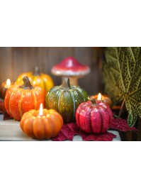 BIG SIZE TERRACOTTA PUMPKIN 4 ASSORTED COLORS DIA 11.1CM X 10.7CM