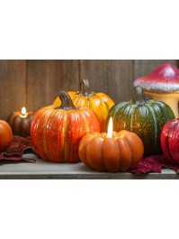 BIG SIZE TERRACOTTA PUMPKIN 4 ASSORTED COLORS DIA 11.1CM X 10.7CM