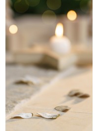 BAG OF 50 IVORY VELVET PETALS WITH GLITTERED BORDER 3.5CM X 0.1CM X 5CM