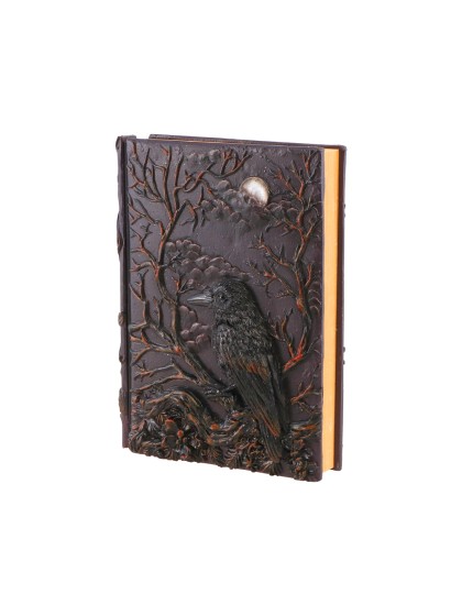 BUCH NOTIZBUCH AUS NOTES RABE 14.5CM X 4.5CM X 19CM