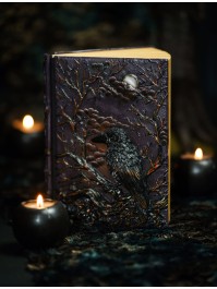 BUCH NOTIZBUCH AUS NOTES RABE 14.5CM X 4.5CM X 19CM