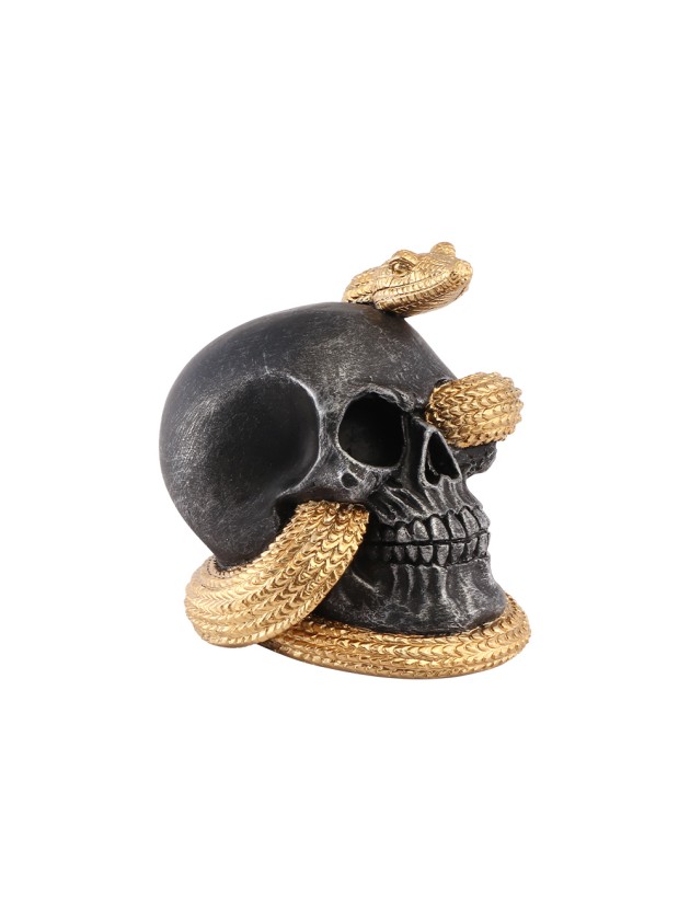 POLYRESIN SKULL WITH GOLDEN SNAKE 14.5CM X 14CM X 13.5CM