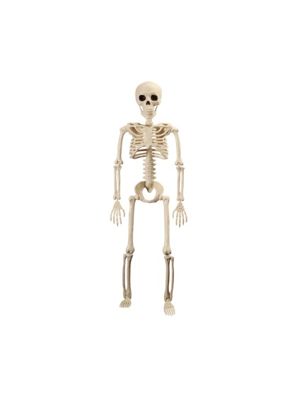 ARTICULATED SKELETON 60CM