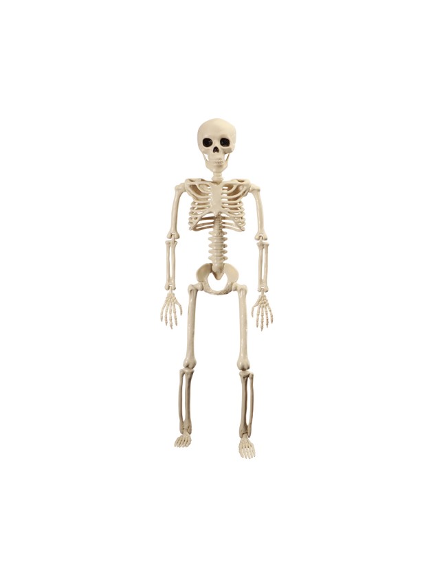 SKELETT  BEWEGLICH 60CM